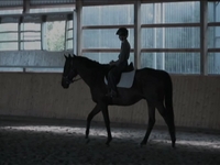 WindReach Farm