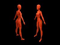 3d female modeling