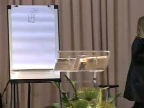 Esgotamento espiritual no ministério - Mis. Bec Schulz