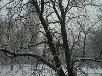 winter
