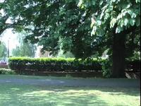 Walk