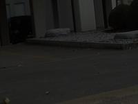 BMX Street Edit (Michel Brand)